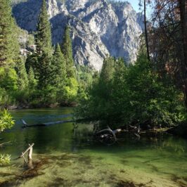 Exercise like hiking helps arthritis