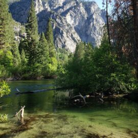Exercise like hiking helps arthritis