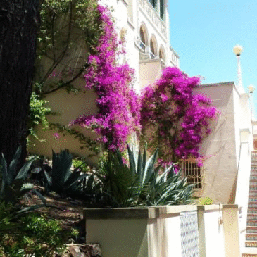 How To Be Holy in Appearance