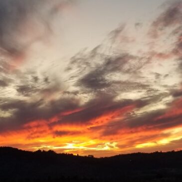 Fighting Cancer with Jesus: Fasting Episode 2